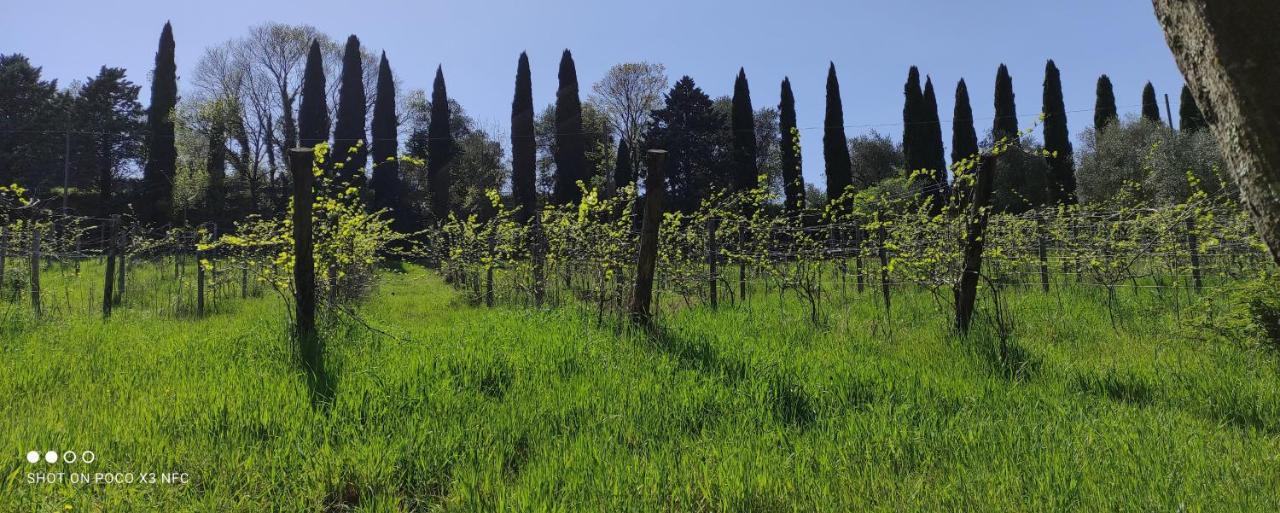 Fattoria Il Milione Agriturismo Florença Exterior foto