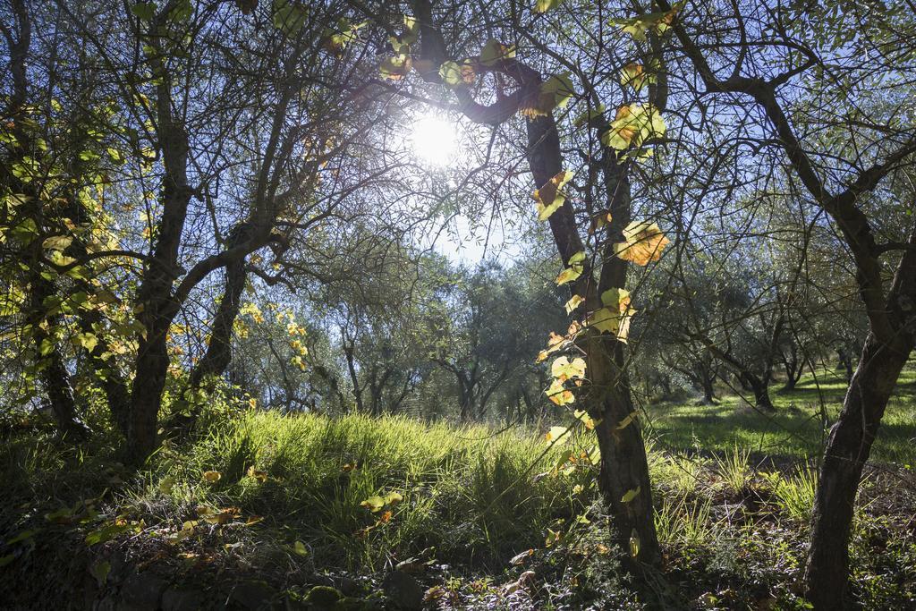 Fattoria Il Milione Agriturismo Florença Exterior foto