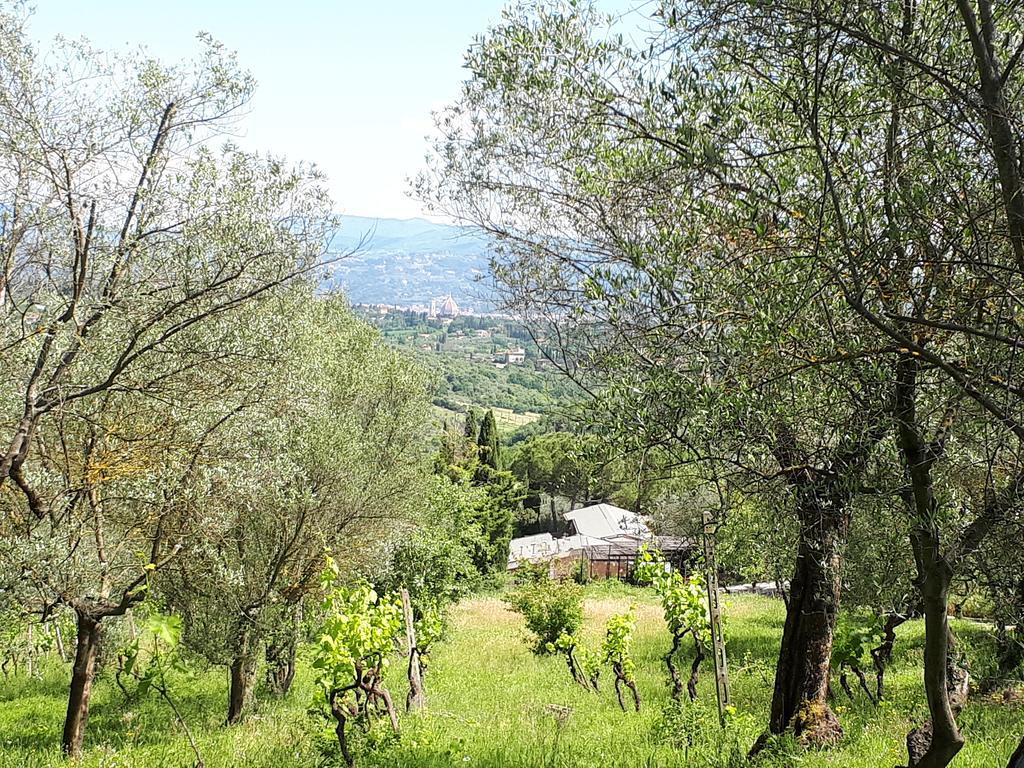 Fattoria Il Milione Agriturismo Florença Exterior foto