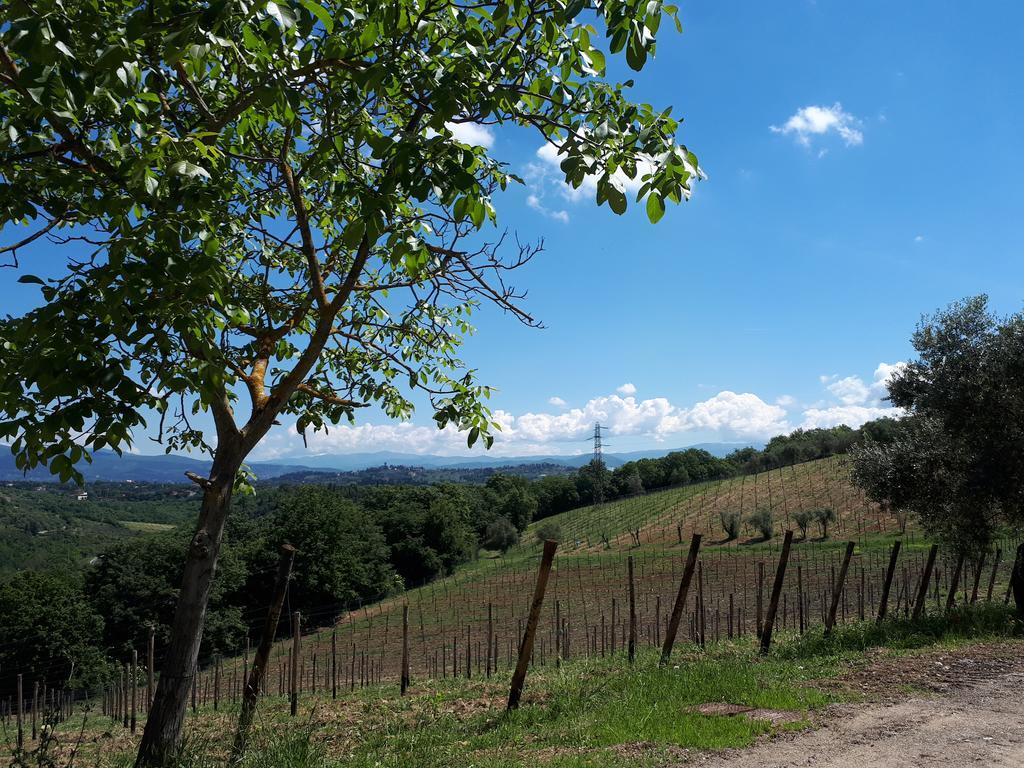 Fattoria Il Milione Agriturismo Florença Exterior foto